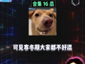 娱乐爆吃瓜,明星们的“吃货”日常大揭秘