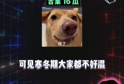 娱乐爆吃瓜,明星们的“吃货”日常大揭秘