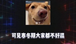 娱乐爆吃瓜,明星们的“吃货”日常大揭秘
